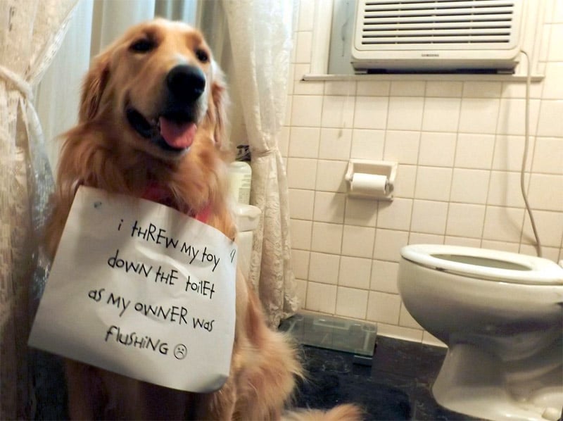 Slide of Pasadena Plumbers