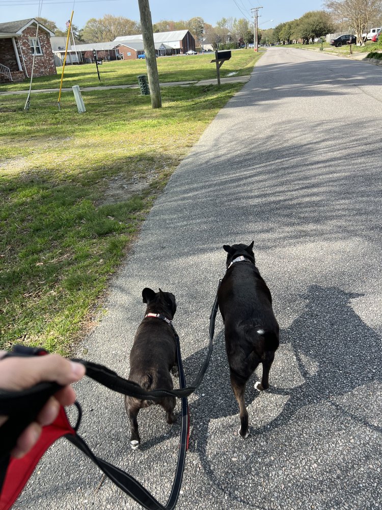 o Jupiter Florida Real Estate For Sale