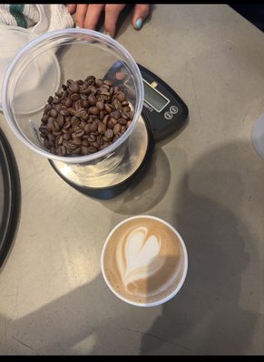 TYPICA CAFE (DINER CAFE) TAYLOR by null