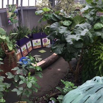 Garfield Park Conservatory - The pond is stocked with huge koi. We saw a turtle swimming there, too. - Parks Near Me - Chicago, Illinois