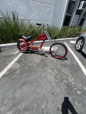 Sunny Cycles by null