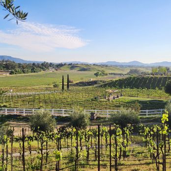 Cougar Vineyard & Winery - Views - Wineries Near Me - Temecula, California