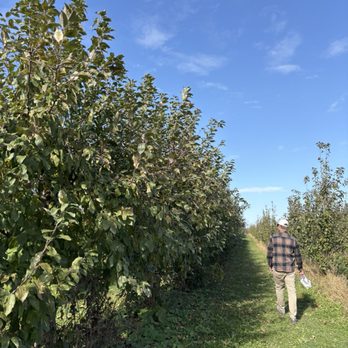 Sekapp Orchard - Apple picking - Fruits & Veggies Near Me - Rochester, Minnesota