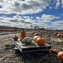 Millers' Farm And Market