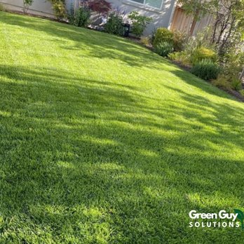 Green Guy Solutions - Lawn Services Near Me Green Guy Solutions - Lawn Services Near Me