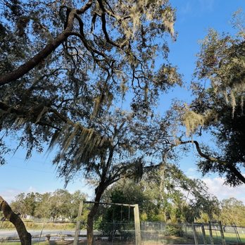 Fewox Memorial Park - Parks Near Me - Frostproof, Florida Fewox Memorial Park - Parks Near Me - Frostproof, Florida