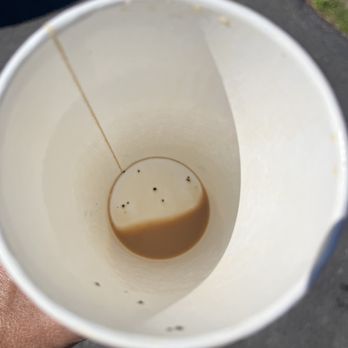 Nectar Cafe - Grounds - A paper cup contains leftover coffee with some grounds settled at the bottom. The cup is held outdoors, with a background of pavement and a patch of grass. The image is taken from above, showing the interior of the cup and the remnants of the beverage. - Coffee & Tea Near Me - York, Maine