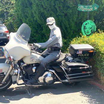 Hollywood RV Park - Our security officer..lol - Campgrounds Near Me - Van Nuys, California Hollywood RV Park - Our security officer..lol - Campgrounds Near Me - Van Nuys, California
