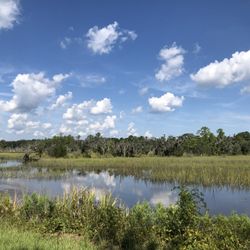 West Ashley Greenway - Marsh views