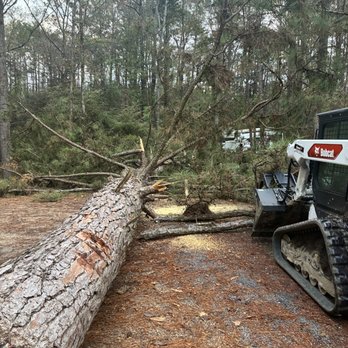 McRee’s Tree Service - Tree Services Near Me McRee’s Tree Service - Tree Services Near Me