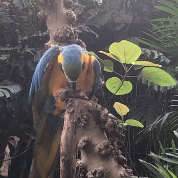 Bloedel Conservatory - Botanical Gardens Near Me - Vancouver, British Columbia