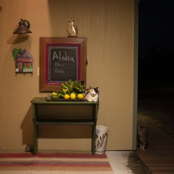 Mahana House Vaction Rentals - Free food and pets