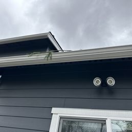Tree limbs sticking out of gutter. Tree limbs sticking out of gutter.