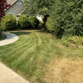All Pros Tree Service - Fresh cut lawn - Tree Services Near Me All Pros Tree Service - Fresh cut lawn - Tree Services Near Me