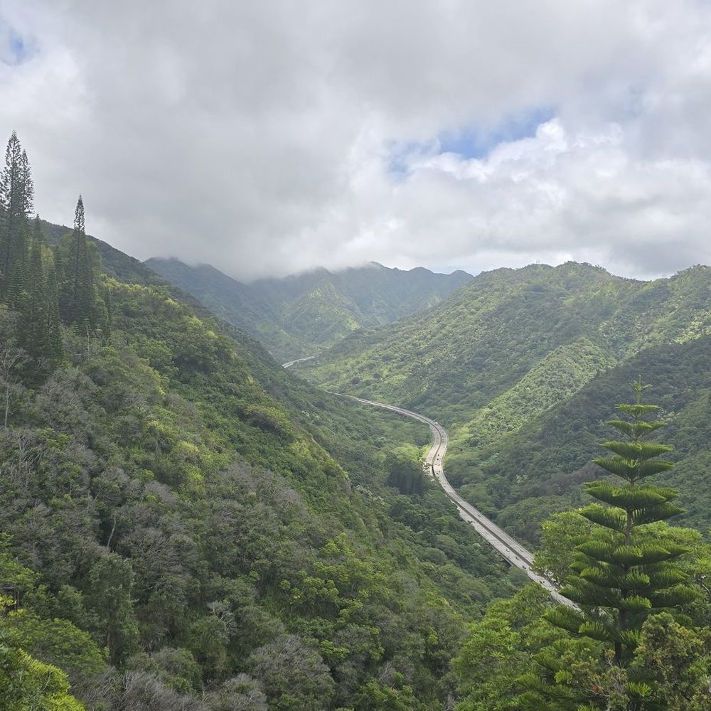 Aiea Loop Trail - Hiking Near Me - Aiea, Hawaii