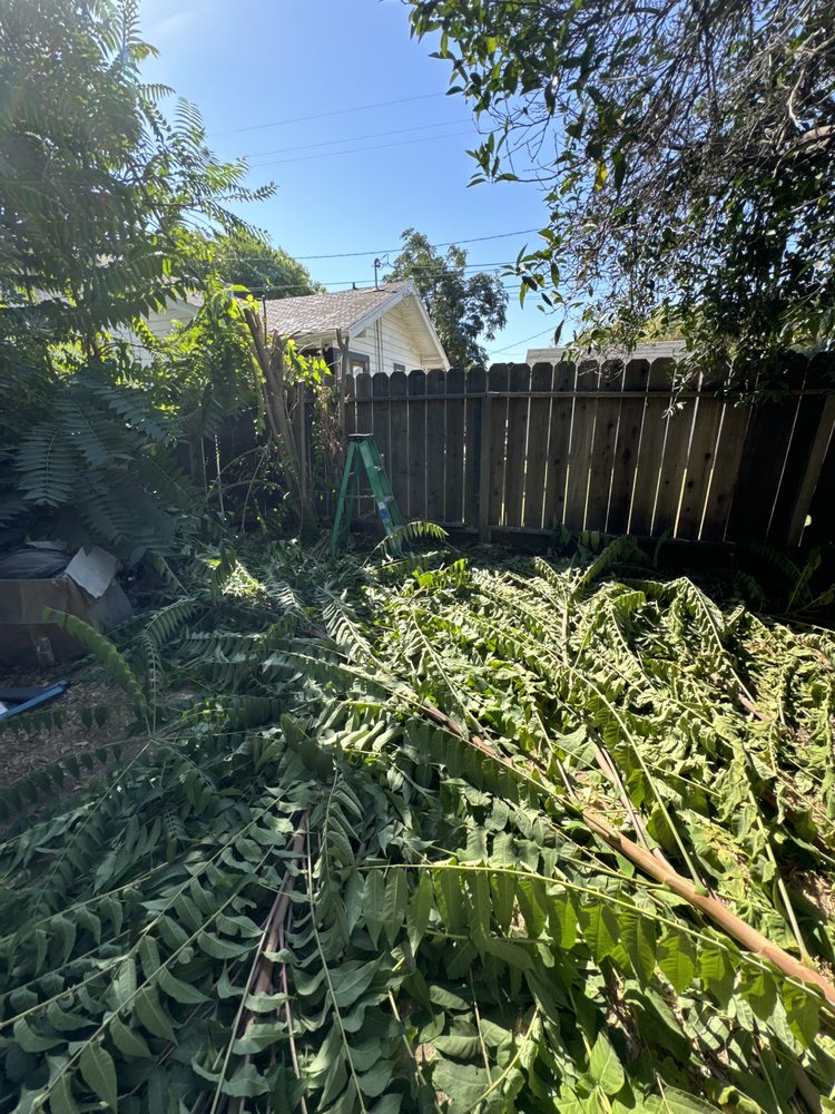 Slide of Avs Landscaping