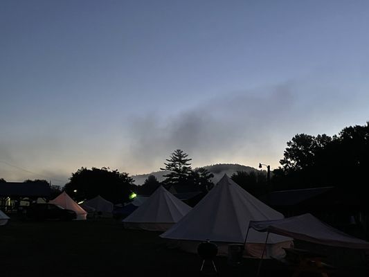 Adirondack Safari by null