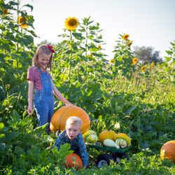 Hee Haw Farms