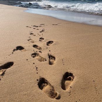 Condado Ocean Club - Walk to an awesome natural ecosystem :) - Hotels Near Me - San Juan, Puerto Rico Condado Ocean Club - Walk to an awesome natural ecosystem :) - Hotels Near Me - San Juan, Puerto Rico