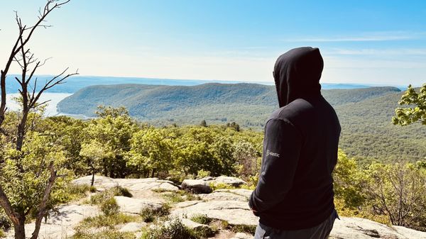 Bear Mountain by null