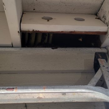 CaliCo Pest Solutions - Pest Control Near Me CaliCo Pest Solutions - Pest Control Near Me