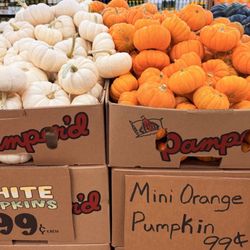 Trader Joe's - The right edges of both colors match.
