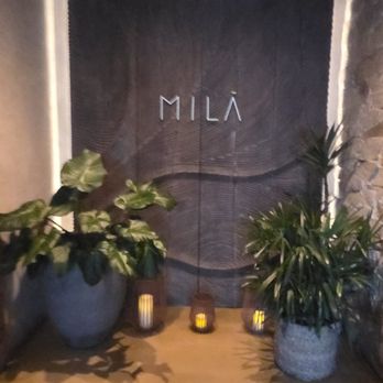 MILA Restaurant - Mediterranean Near Me - Miami Beach, Florida MILA Restaurant - Mediterranean Near Me - Miami Beach, Florida