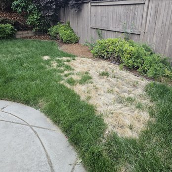 Nguyen Landscaping - Landscaping Near Me