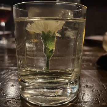 The Archives - Lucid Dream - Cocktail Bars Near Me - Amherst, Massachusetts