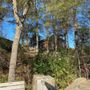 Photo of Pelham Mill Park