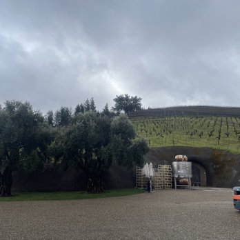Bella Vineyards & Wine Caves - Vineyard - Wineries Near Me - Healdsburg, California Bella Vineyards & Wine Caves - Vineyard - Wineries Near Me - Healdsburg, California
