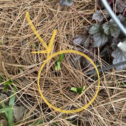 Metro Atlanta Lawn Care
