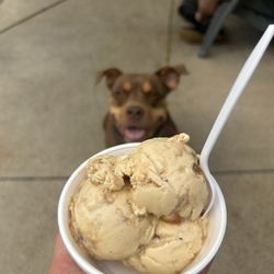 Danny's Ice Cream & Burgers - Sea Salt Caramel