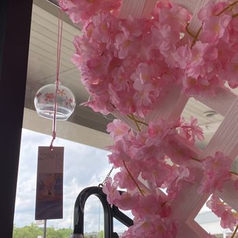 sakura - Inside - Bubble Tea Near Me - Grand Rapids, Michigan sakura - Inside - Bubble Tea Near Me - Grand Rapids, Michigan