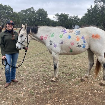 Little Forest Equestrian - Horseback Riding Near Me - Leander, Texas
