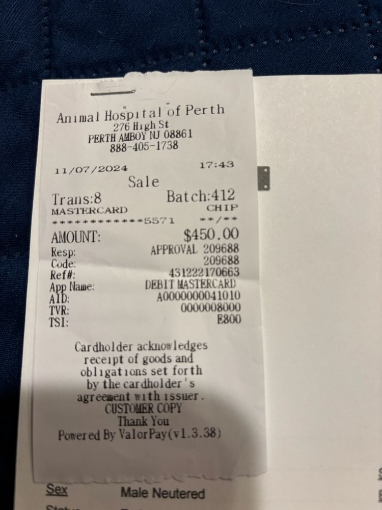 Animal Hospital of Perth Amboy Image