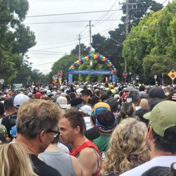 Wharf To Wharf Race
