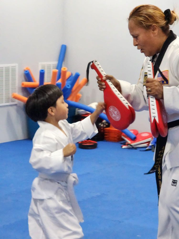 INAT USA Taekwondo Logo