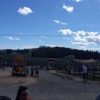 Justus Orchard - Fruits & Veggies Near Me - Hendersonville, North Carolina