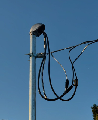 Bolt Blitz Electric