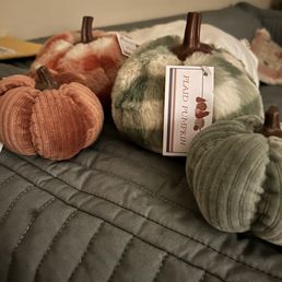 Plush pumpkin variety.