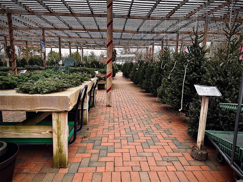 OAKLAND NURSERY Updated July 2024 43 Photos & 32 Reviews 5211