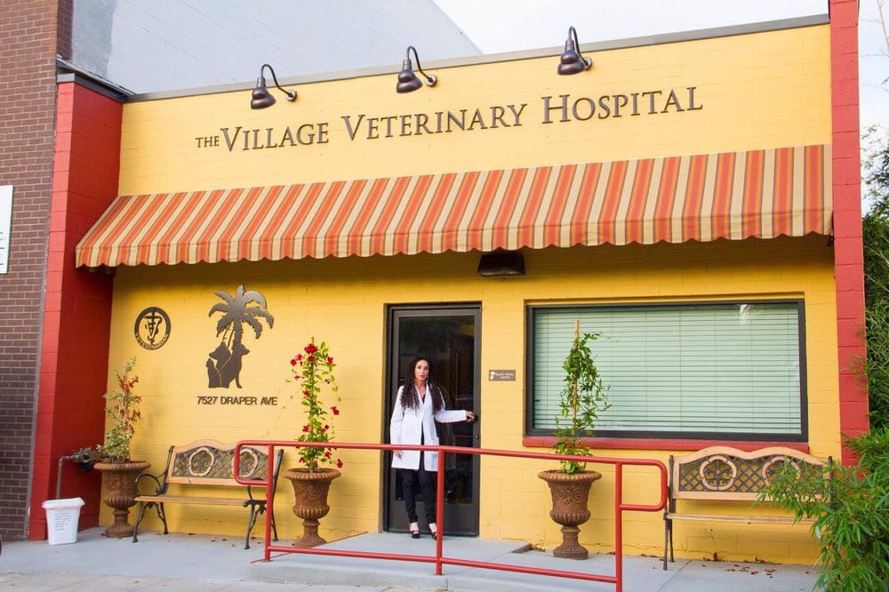 THE VILLAGE VETERINARY HOSPITAL 85 Photos & 54 Reviews 7527 Draper
