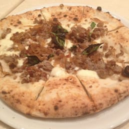 Amici