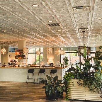 Plant Bar - Coffee & Tea Near Me - Chattanooga, Tennessee Plant Bar - Coffee & Tea Near Me - Chattanooga, Tennessee