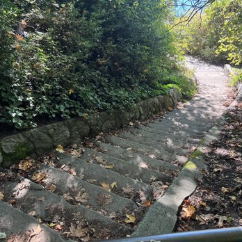 Lincoln Park - Parks Near Me - Seattle, Washington