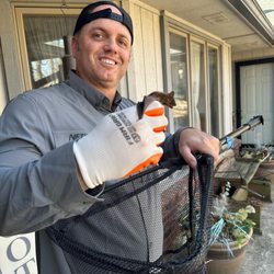 Network Pest Control - Bat Removal