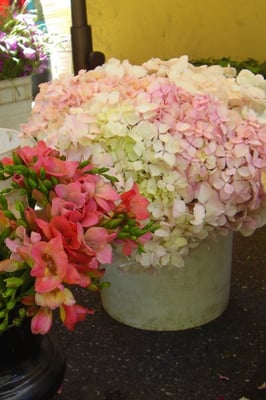Willow Glen Farmers' Market by null