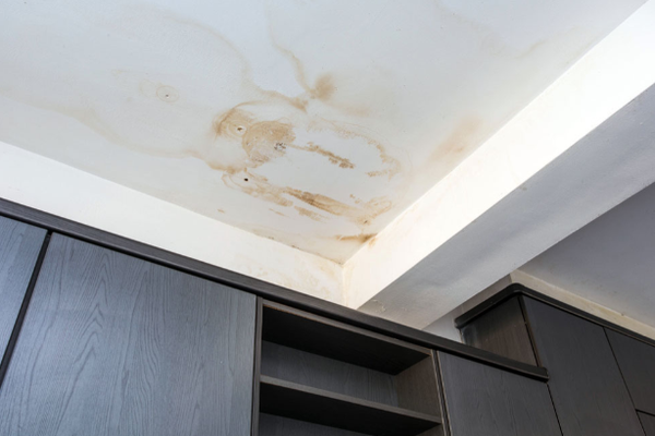 Emergency Dryout Services Logo