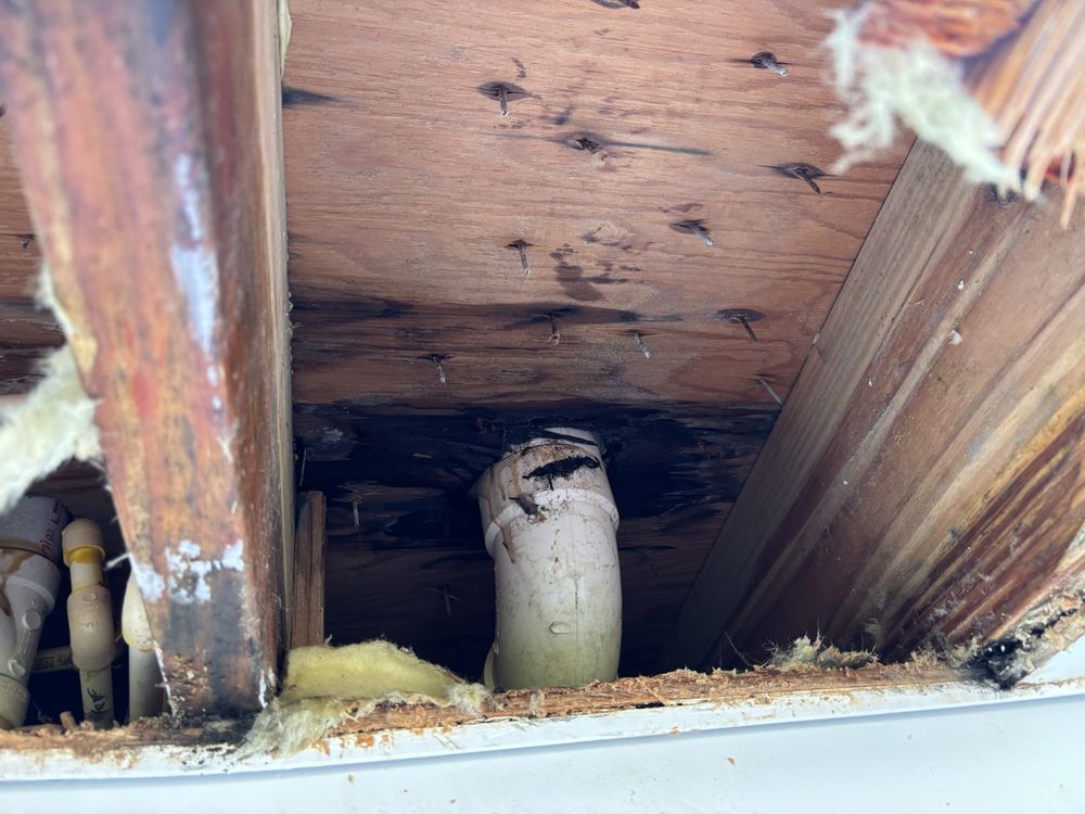 Slide of Bizzy Bee Plumbing